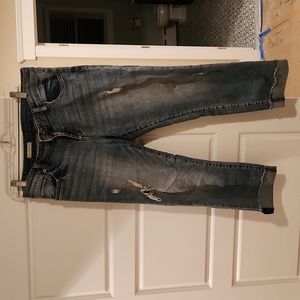 KUT from the KLOTH Jeans